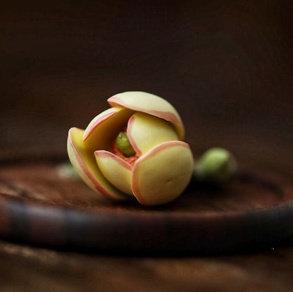 Artisan Magnolia Figo Flower Incense Holder